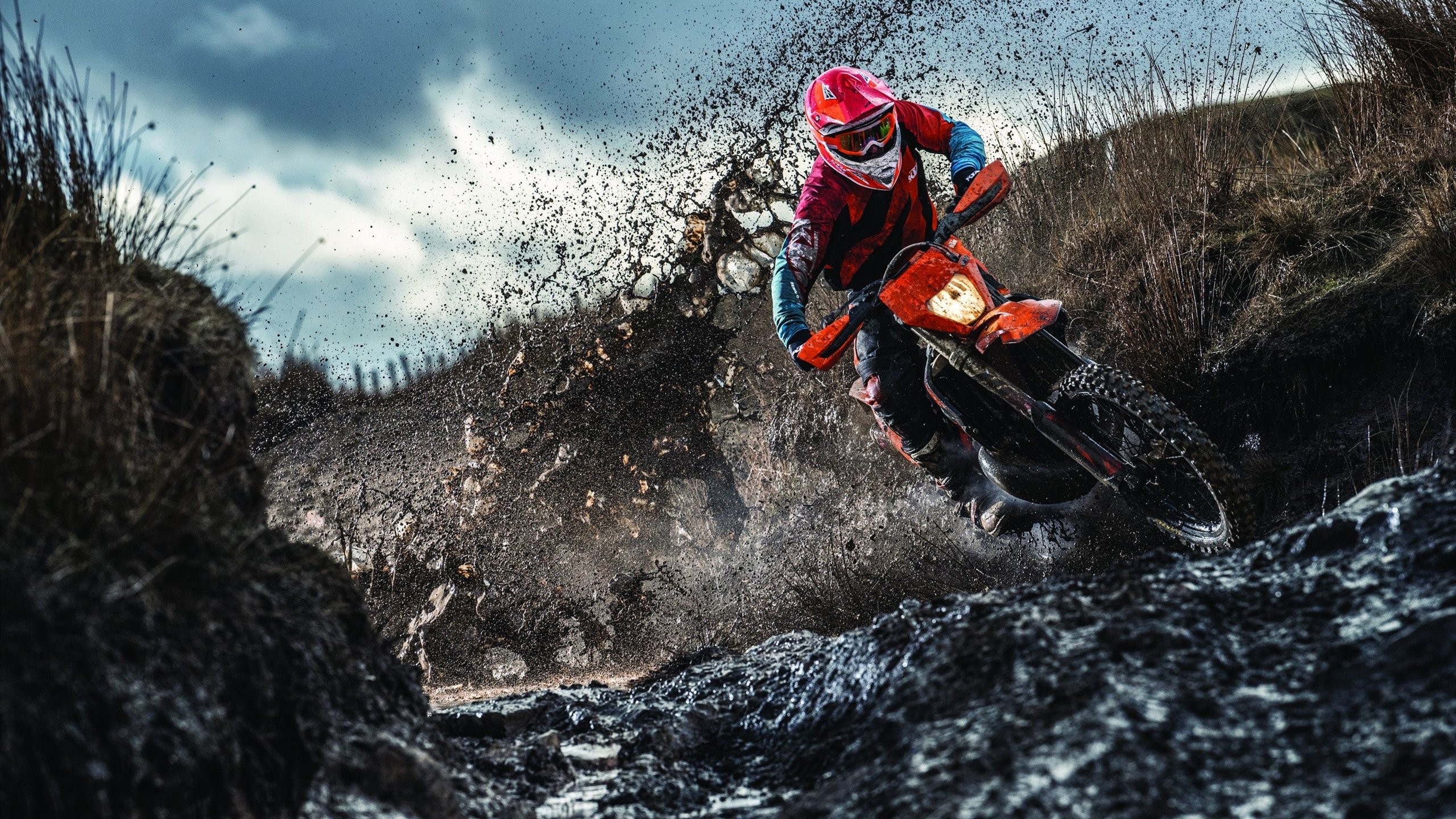 开云体育APP下载-字母哥致命一击改写剧本，当灰熊的坚韧撞上快船的星光